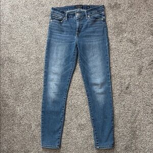 Lucky Brand Women's Denim Skinny Jeans